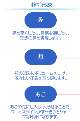 逗子市の逗子メディスタイルクリニックのレディエッセを使用した輪郭形成|鼻を高くしたり、鼻筋を通したり、理想の鼻を実現します。頬の凹みにボリュームをつけ、若々しい印象を取り戻します。あごの先に注入し、尖らせることで、フェイスラインがすっきりとシャープな印象になります。